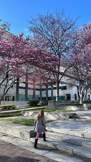 13 reactions · 6 comments | Full DC Museum List ⬇️ Museums close to...