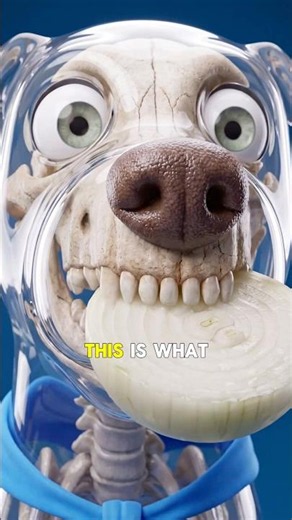 What Onions Really Do Inside Your Dog's Body 🧅🐶
