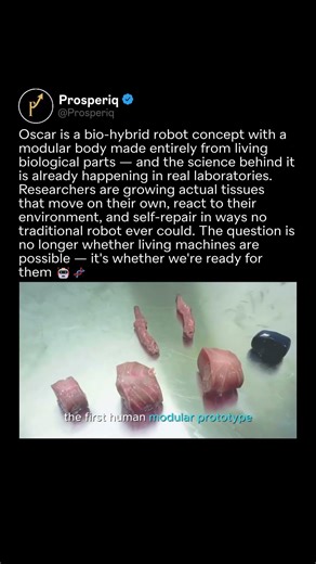 Meet Oscar — The Bio-Hybrid Robot Built From Living Biological Parts 🤖🧬