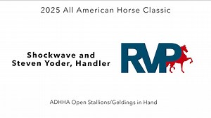 AAC25 - Class 75 - Shockwave and Steven Yoder, Handler