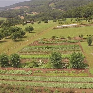 4K views · 22 reactions | Immerse yourself in the origin of Ricola at Ricola Herb Garden - where you can see, smell, and taste our signature 13 herbs in their natural habitat. #DYK Ricola has a total of 6 show gardens in Switzerland? It's definitely a great way to learn about the goodness that goes into each and every of the delicious herbal drops if you're traveling there!  Follow us for more fun-sized scoops on the world of Ricola! | Ricola | Facebook