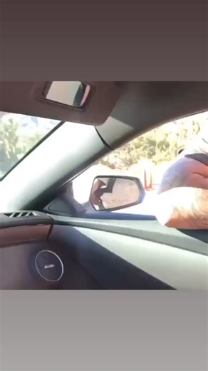 WHO WAS THE BIG DAWG? #dogs | FOOS GONE WILD