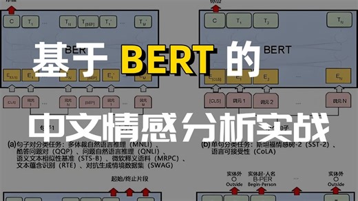 【BERT中文情感分析实战】手把手微调预训练模型！从数据清洗、分词到训练部署，零基础搞定NLP入门项目，毕设/面试直接用！
