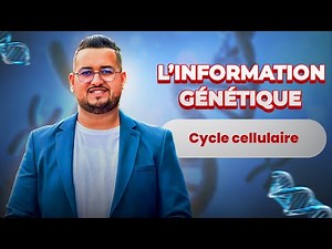 Cycle cellulaire