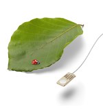 Ultra Thin Microphones