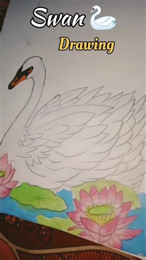 Swan 🦢 Drawing 🎨 tutorial #art #shorts #viral #swan #watercolor