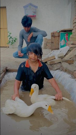 Ali bhai challenge with ducks in pool || full vlog uploaded on Channel || #summerofshorts #trending