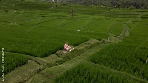 Woman in pink kimono playing meditation singing bowl on above Jatiluwih Bali rice terraces by Drone. Sound healing, yoga. High quality 4k footage