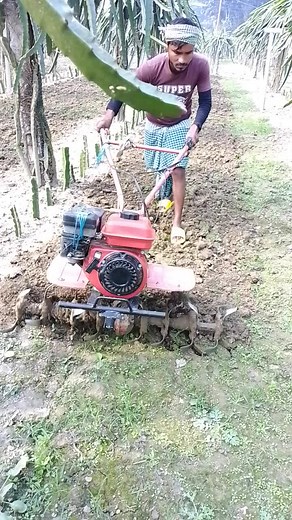 Efficient Tilling Techniques for Healthy Crops