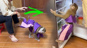 23K views · 1.8K reactions | Smrt Judee’s Funny Act To Persuade Mom To Get Snack In Fridge | The Judy Family | Facebook