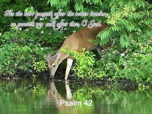 Psalm 42 (with text - press on more info.)