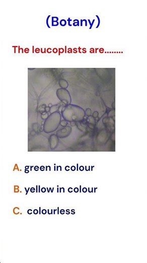 Leucoplasts #shorts #plantanatomy #university #science #academia