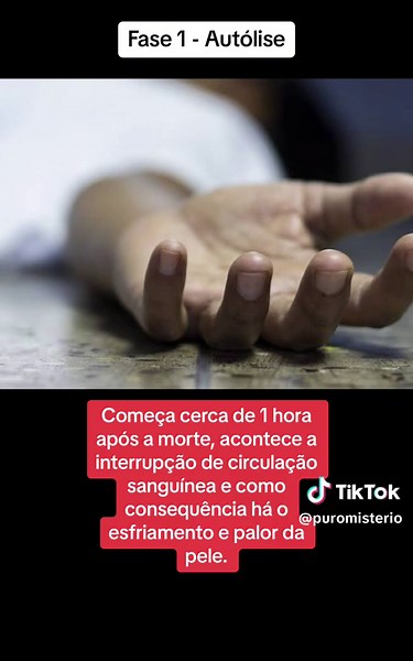 Processo de Decomposição do Corpo Humano: Fases e Etapas