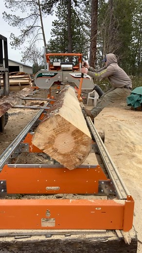 Milling up 2 6”x6”x20’ pine beams 👍🏼 #sawmill #woodworking #woodworker #custom #bluecollar #work #foryou #fyp #fypシ゚ | Bearwoods Northwest