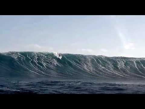 HEAVY COW BOMBIE SESSIONS