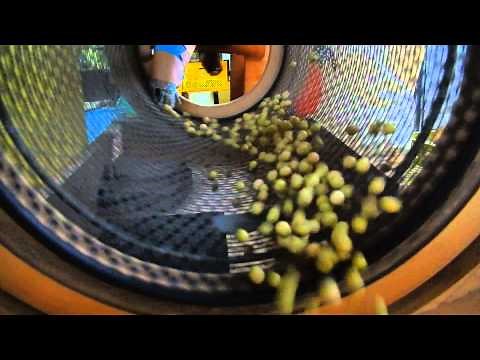 手作り大豆選別機