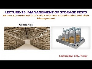 ENTO 311 Lec 15 Management of Storage Pests