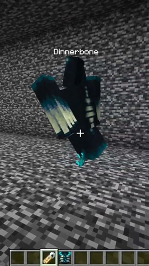 Giving Dinnerbone nametag to Warden in #minecraft 1.21