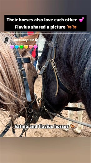 flavius shared fatma and his horse picture 😍❤️ #viral #youtubeshorts #flavius #kurlusorhan #shorts