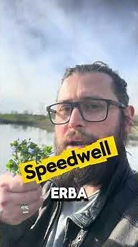 History, customs and traditions of the VERONICA