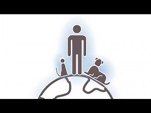 Let's see how elecfree remove static electricity