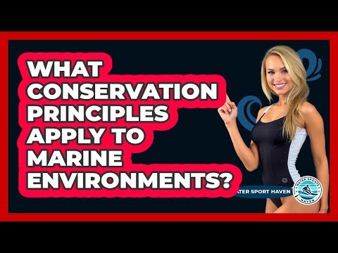 What Conservation Principles Apply To Marine Environments? - Water Sports Haven