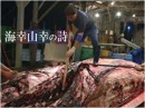 【海幸山幸の詩 #29】捕鯨が息づく町～和田の鯨解体、鮎川の鯨歯工芸、新たな拠点・青森[桜H29/7/26]
