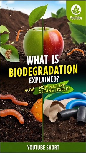 How Nature Cleans Up Our Mess