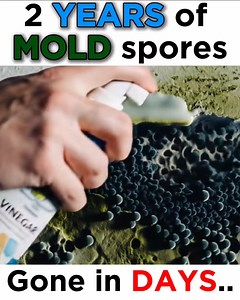 112 reactions · 30 shares |  Imagine a world where mold is more than...