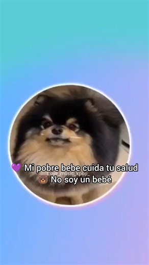 No soy un bebé: BTS y un tierno mensaje navideño