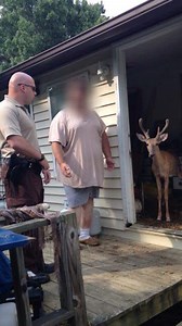 Man busted for keeping deer as pets in his doublewide