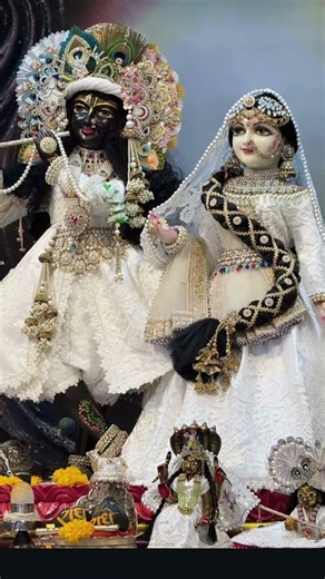 Radhe Radhe 🦚🙏🏻 #radhakrishna #radheradhenaam #radheradhe #radheshyam #harekrishna #shortsfeed #love