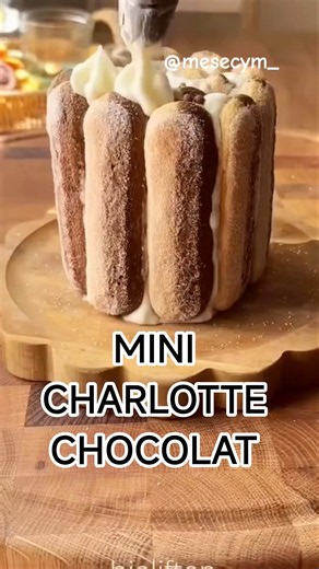 mini Charlotte au Chocolat : FACILE, SANS CUISSON et HYPER BONNE 😍 👉🏻 vous allez adorer #shortfood