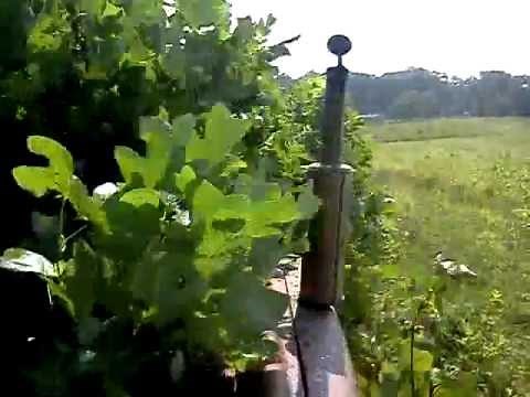 Farmall 350 diesel mowing tall stuff 2