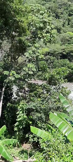 #micolombia🇨🇴😭 #vallenato #romantico