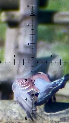 Unlocking the Power of FX Impact M4