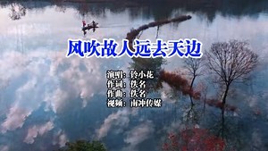 《风吹故人远去天边》铃小花