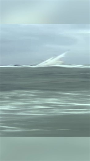 594K views · 1.7K reactions | Four people have been rescued after their yacht ran aground in one of the most "dramatic" incidents a lifeboat service said it had ever seen. Caister Lifeboat said it was called to reports of people abandoning a yacht on a sand bank and boarding their life raft five miles off the coast of Scroby Sands, Norfolk, at about 17:00 BST on Wednesday. | BBC Norfolk | Facebook