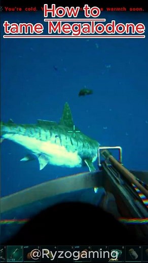 How to tame Megalodon #arksurvivalevolved #shortvideo