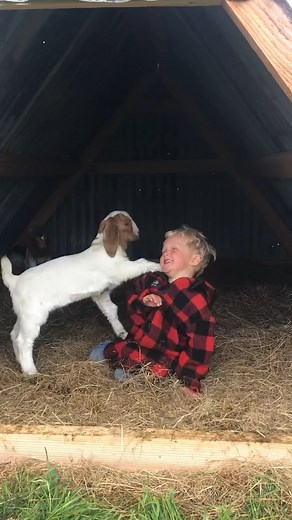 Try Not to Laugh on Reels