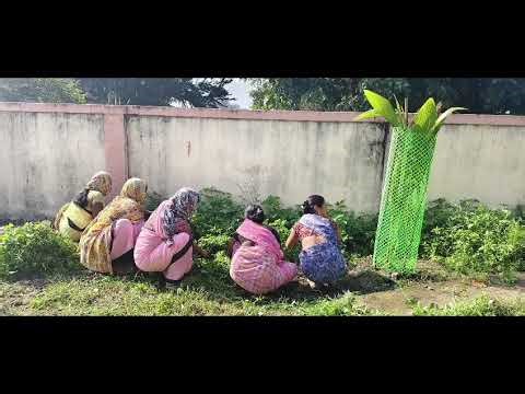 मुख्यमंत्री समृद्ध पंचायतराज अभियान | ग्रामपंचायत थारा |