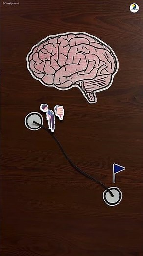 Follow This Toppers Secret Strategy to Achieve Your Goals🔥 #studytips #topper