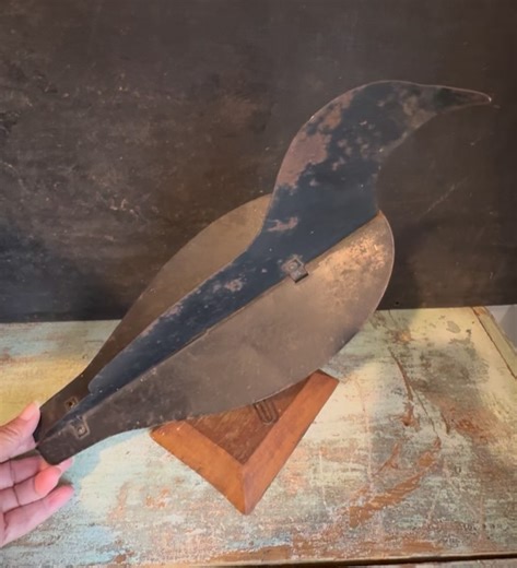 Ellen Barros on Instagram: "Vintage metal crow decoy, likely a vintage or folk art piece, designed to mimic a crow. Metal crow decoy, possibly a vintage or folk art item. Can be used as a decorative item, a hunting decoy, or a deterrent for other birds in gardens or fields. Made of thin sheet metal, with a wooden base. This particular decoy has collapsible wings for storage and a spring mechanism at the base, suggesting some movement or flexibility #Crowdecoy #tincrow #decoy #colapsablecrow #met