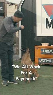 Lay Down: Teach Your Dog in Minutes