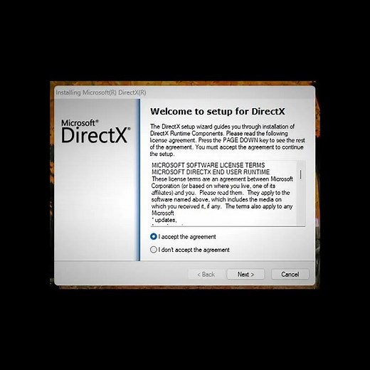 DirectX Setup Wizard