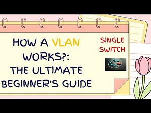 How a VLAN Works?: The Ultimate Beginner's Guide
