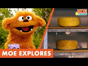 Moe Explores Cheese | Kids Learn How Cheese is Made | #MoeExplores