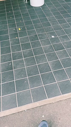 Aldi Crispy Chicken Strips Review: A Delicious McDonald's Alternative