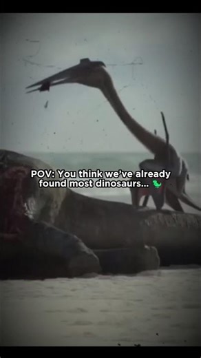 95% of dinosaurs are still missing… #prehistoric #dinosaurus #extinction