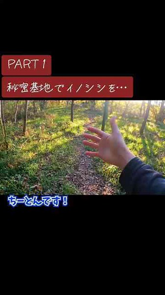 ちーとんの秘密基地｜イノシシと向き合う山のフィールドと男のロマンが詰まった場所